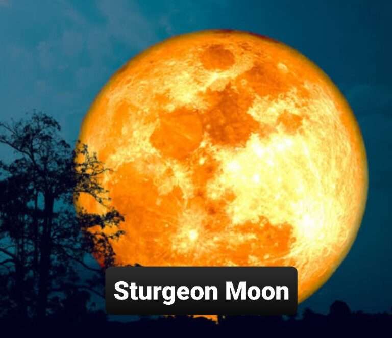 August Full Moon of 2024