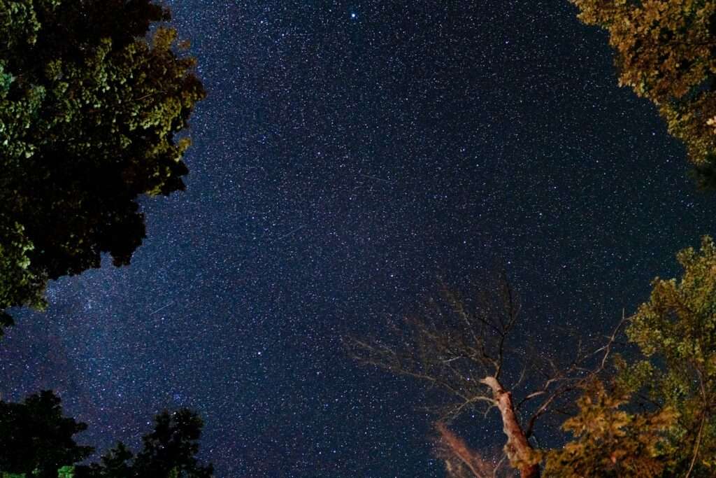 Perseid Meteor Shower